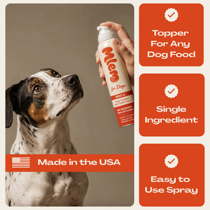 Mlem - Beef Topper Spray for Dogs