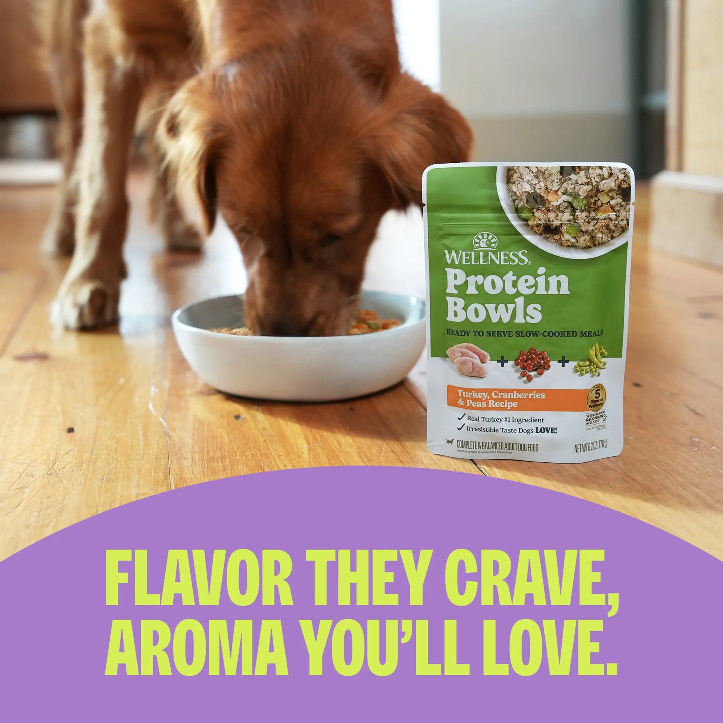 Wellness Protein Bowls, Adult Fresh Alternative Dog Food, Wholesome Grains, 6.2 Ounce Pouch, 6 Pack, (Chicken Value Pack)