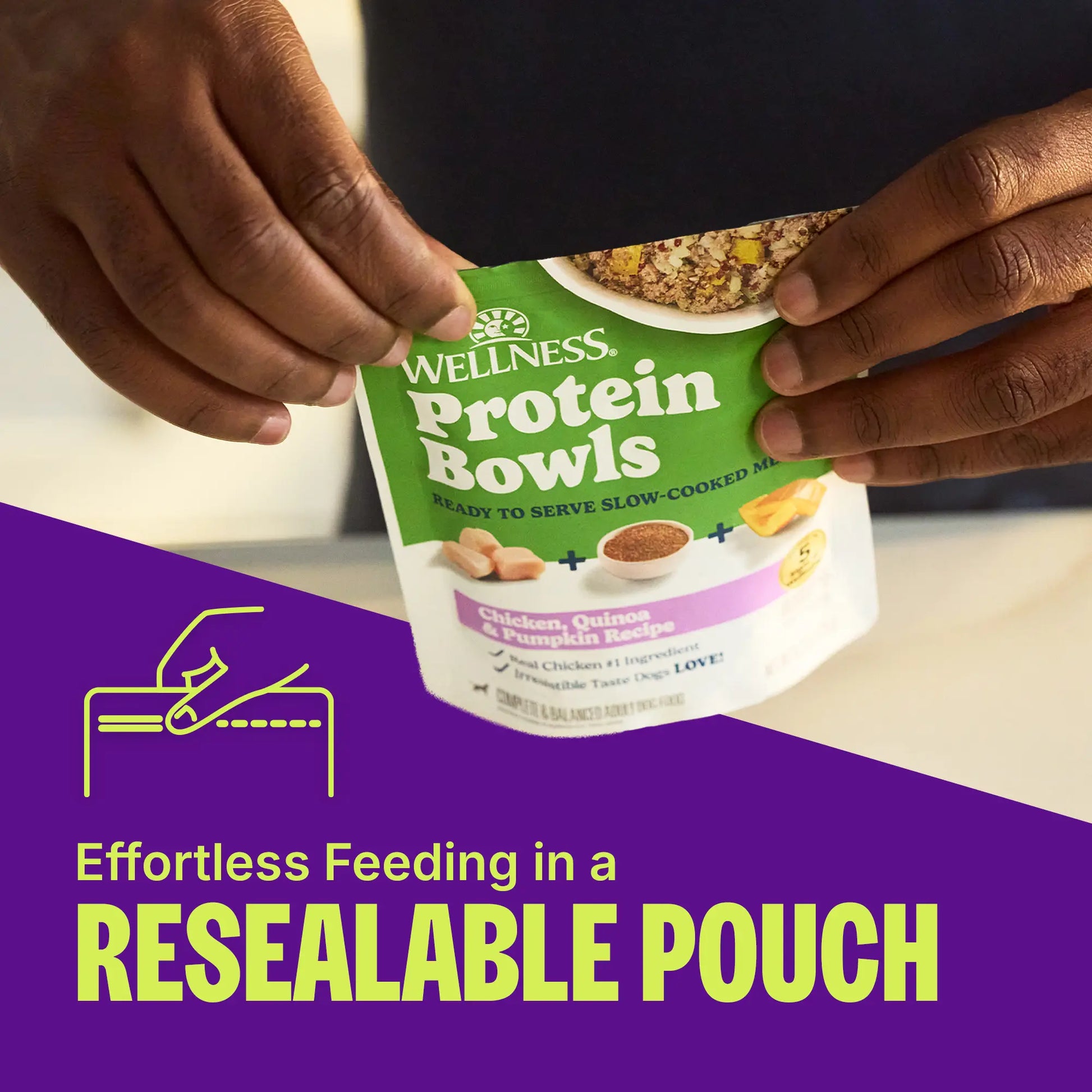Wellness Protein Bowls, Adult Fresh Alternative Dog Food, Wholesome Grains, 6.2 Ounce Pouch, 6 Pack, (Chicken Value Pack)