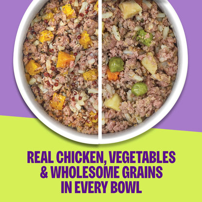 Wellness Protein Bowls, Adult Fresh Alternative Dog Food, Wholesome Grains, 6.2 Ounce Pouch, 6 Pack, (Chicken Value Pack)