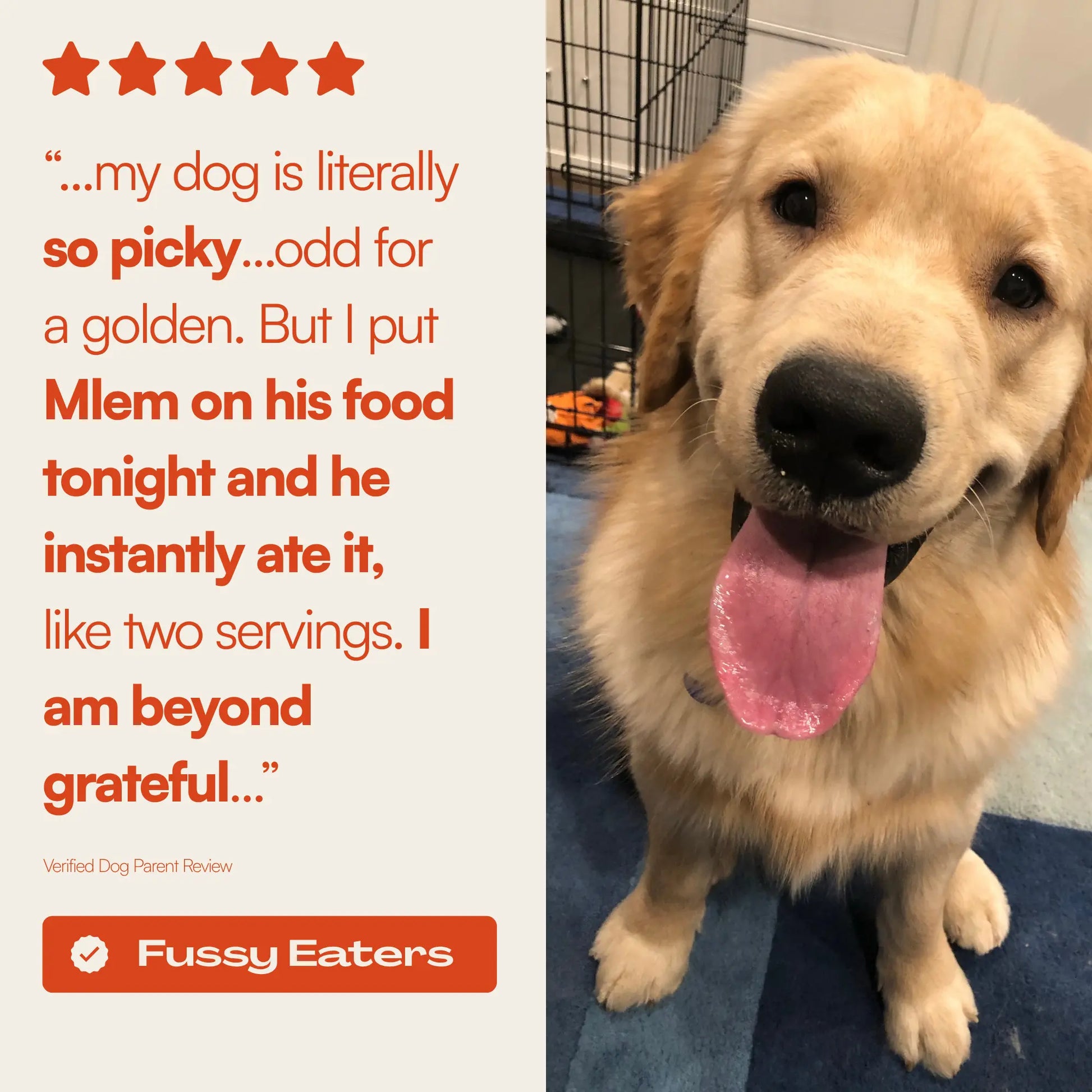 Mlem - Beef Topper Spray for Dogs