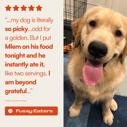 Mlem - Beef Topper Spray for Dogs