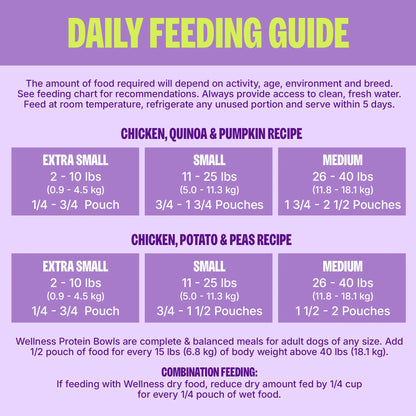 Wellness Protein Bowls, Adult Fresh Alternative Dog Food, Wholesome Grains, 6.2 Ounce Pouch, 6 Pack, (Chicken Value Pack)