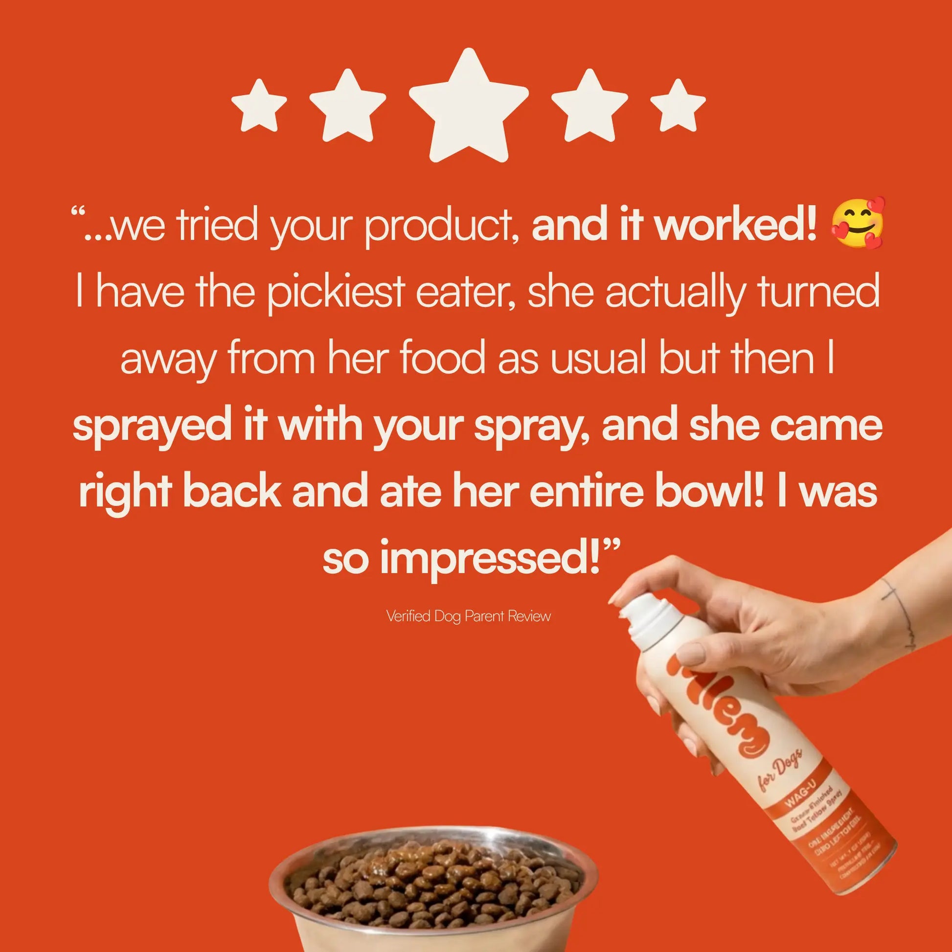 Mlem - Beef Topper Spray for Dogs