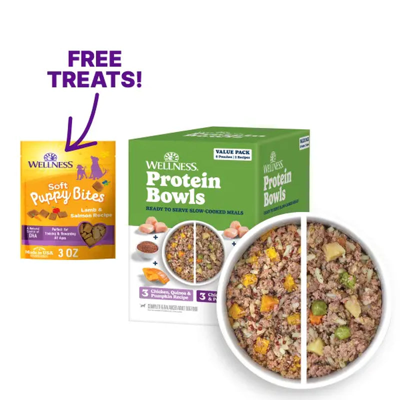 Wellness Protein Bowls, Adult Fresh Alternative Dog Food, Wholesome Grains, 6.2 Ounce Pouch, 6 Pack, (Chicken Value Pack)