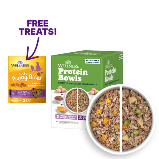 Wellness Protein Bowls, Adult Fresh Alternative Dog Food, Wholesome Grains, 6.2 Ounce Pouch, 6 Pack, (Chicken Value Pack)