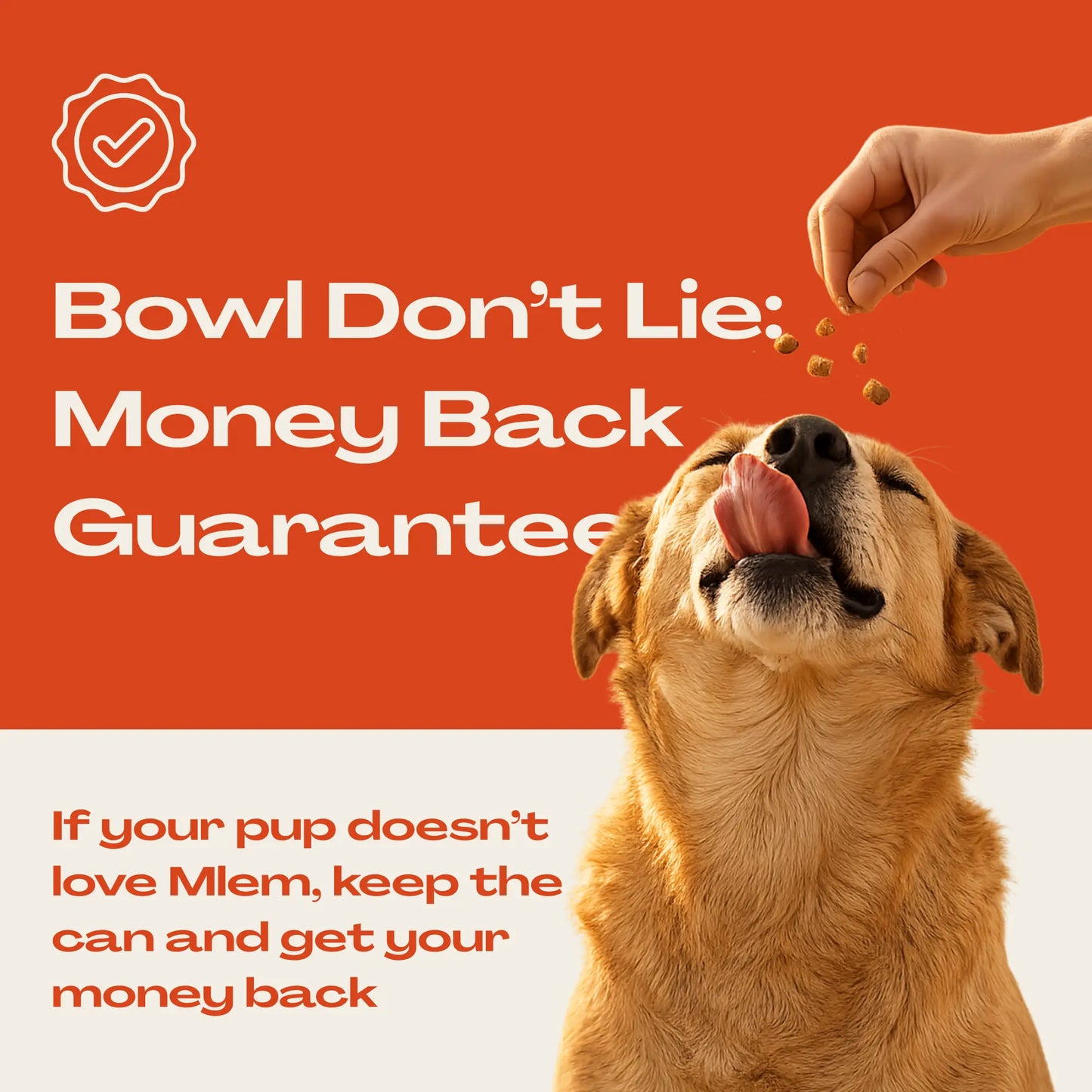 Mlem - Beef Topper Spray for Dogs