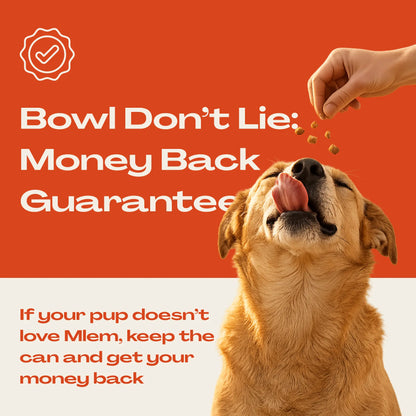 Mlem - Beef Topper Spray for Dogs