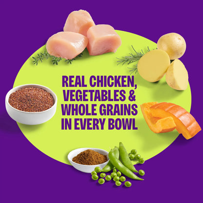 Wellness Protein Bowls, Adult Fresh Alternative Dog Food, Wholesome Grains, 6.2 Ounce Pouch, 6 Pack, (Chicken Value Pack)